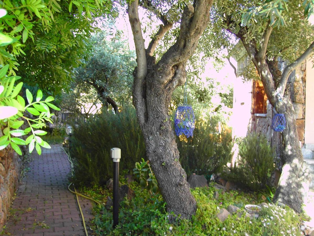 Secret Garden Apartment Budoni Exterior photo