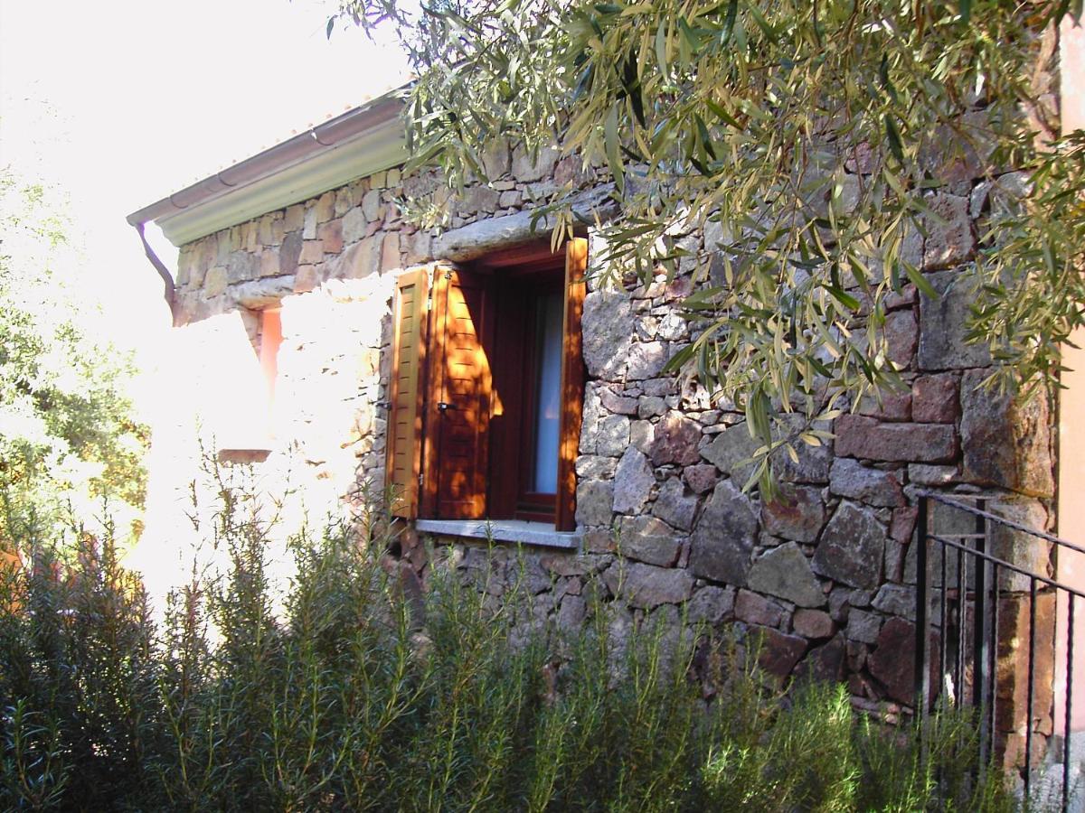 Secret Garden Apartment Budoni Exterior photo